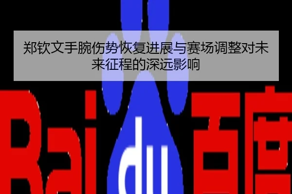 郑钦文手腕伤势恢复进展与赛场调整对未来征程的深远影响