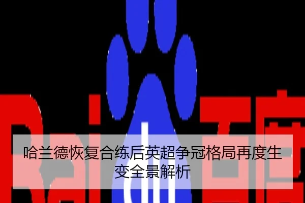 哈兰德恢复合练后英超争冠格局再度生变全景解析
