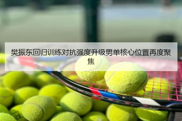 樊振东回归训练对抗强度升级男单核心位置再度聚焦