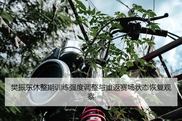 樊振东休整期训练强度调整与重返赛场状态恢复观察